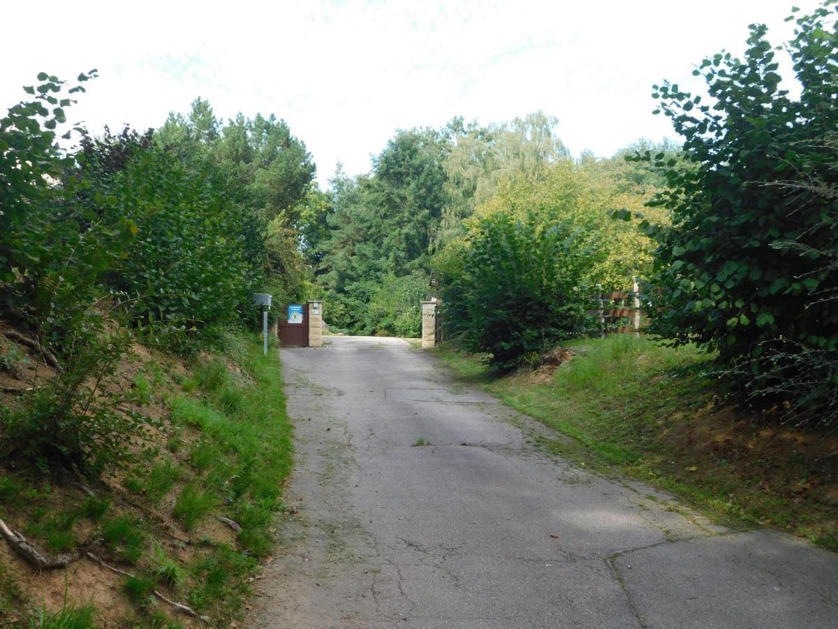 مبيت وإفطار Saulcy-sur-Meurthe L'Amandaure المظهر الخارجي الصورة