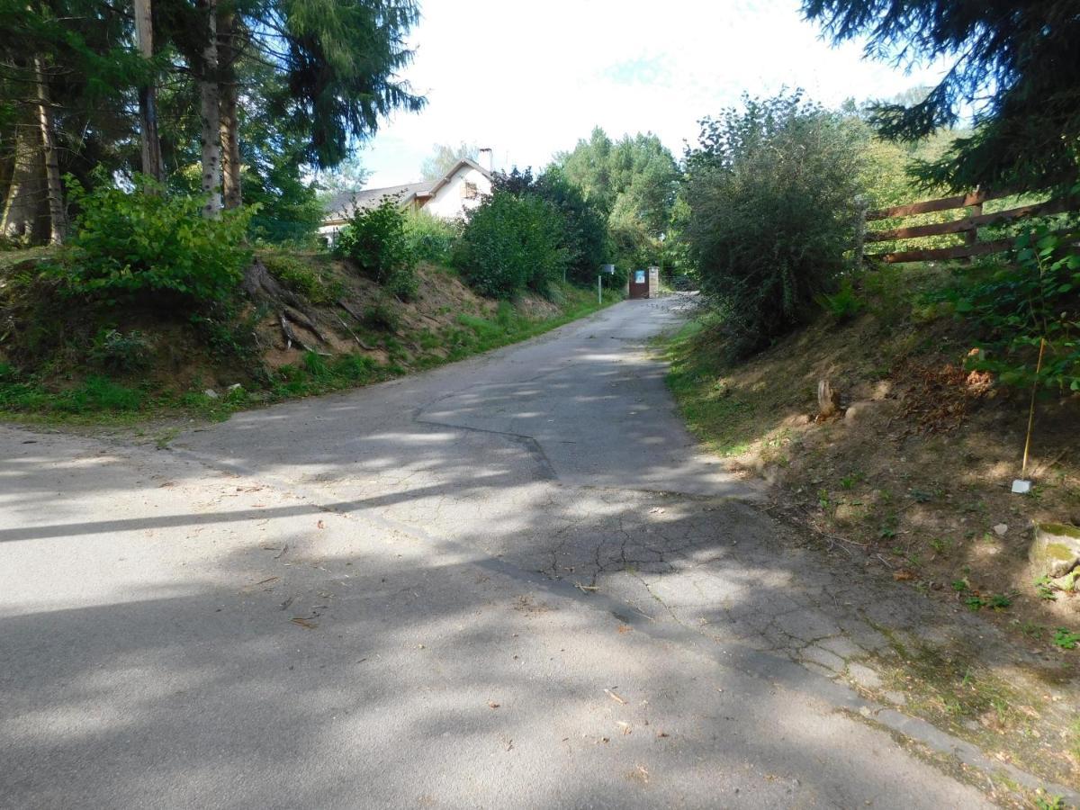مبيت وإفطار Saulcy-sur-Meurthe L'Amandaure المظهر الخارجي الصورة